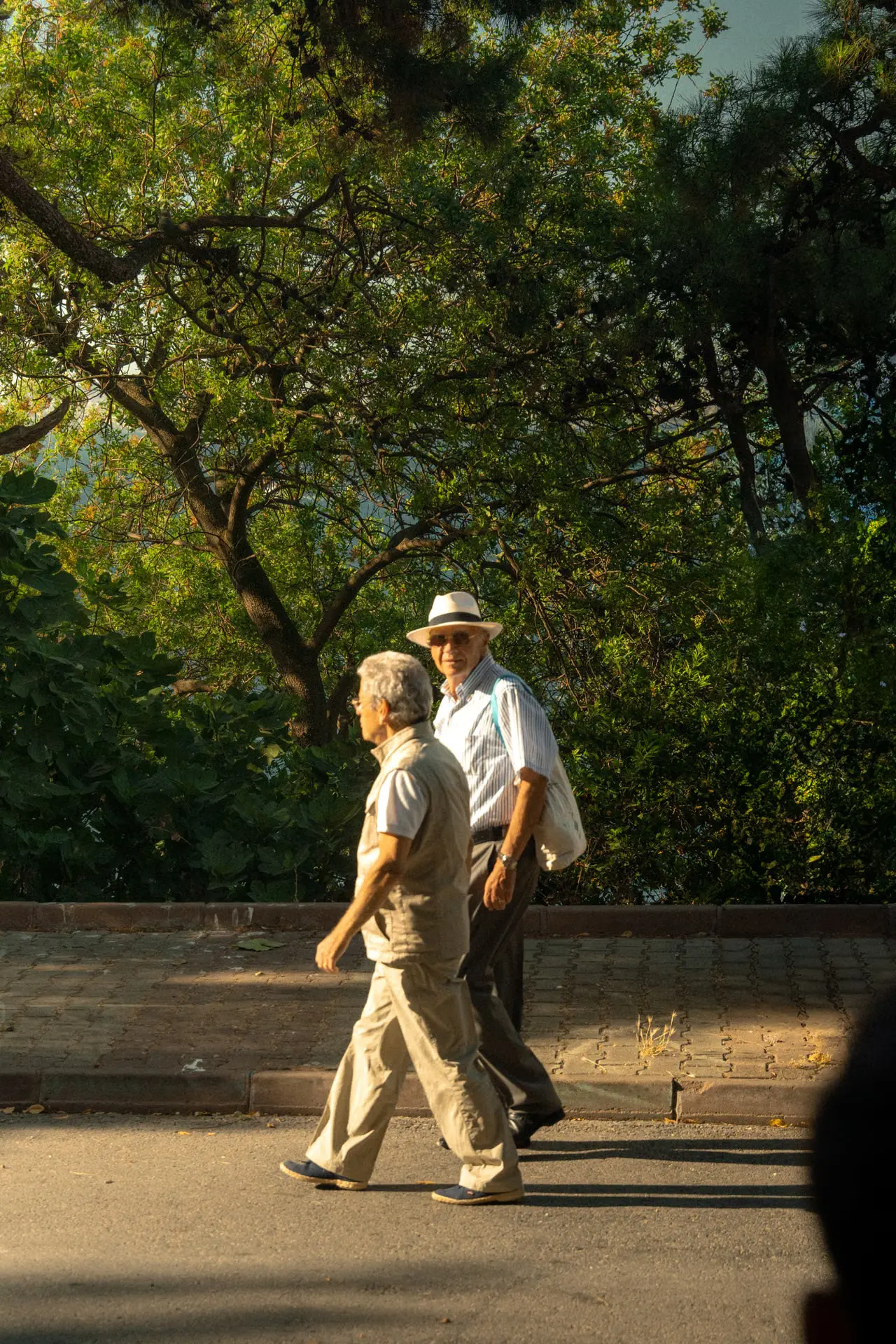 Older men walking outdoors on a sunny day.
