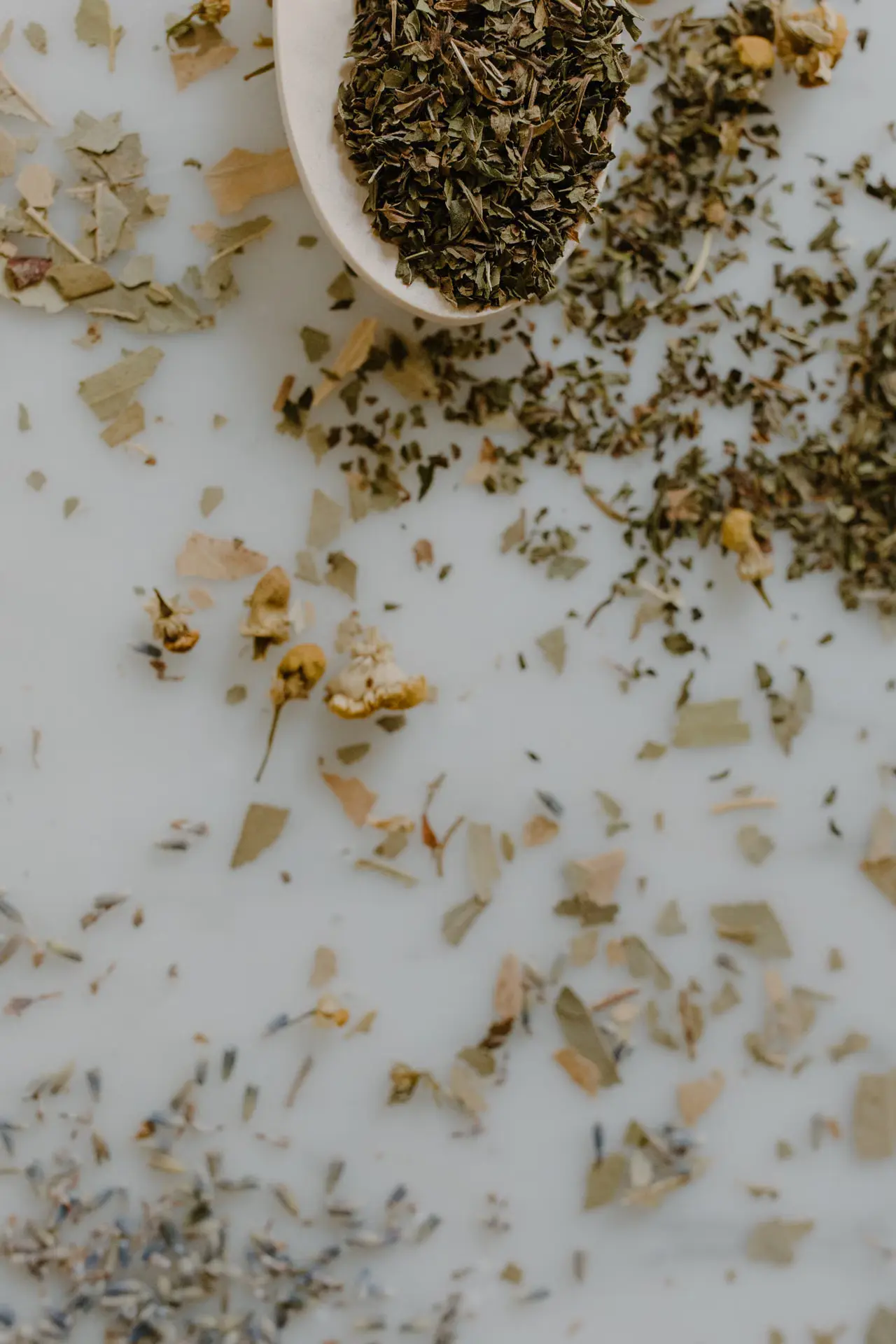Seed Oils: What Human Studies Show